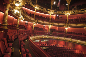 Grande Salle du Théâtre des Célestins © Christian Ganet